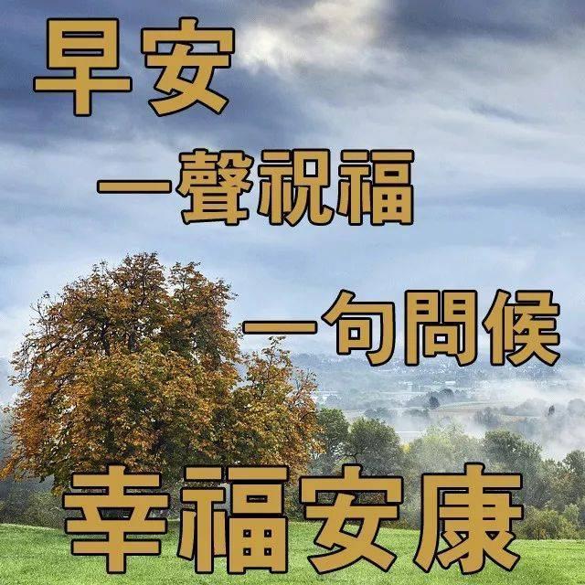 关于早安的正能量文案（让人惊艳的早安心语）