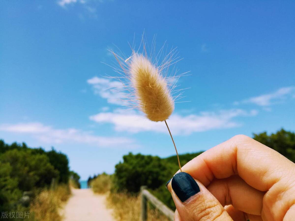 特别现实的语录（非常惊艳的现实短句）