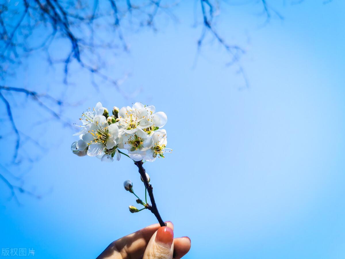 感触颇深的人生句子（特别经典的人生语录）