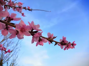 有关感受生活的作文精选范例（《调出生活好味道》）