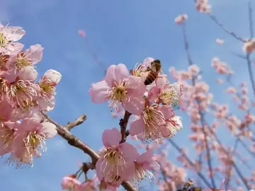 长大瞬间的话题优秀作文（《成长，有时只是瞬间的事》）