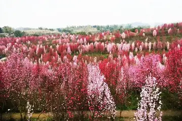 有关成长瞬间的作文精选范例（《成长的一瞬间》）