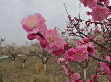 有关成长瞬间的作文精选范例（《成长的一瞬间》）