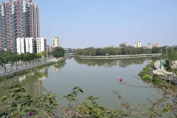 《失败的那种滋味》（关于沉重滋味的作文精选）