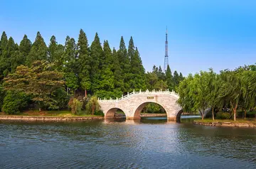 《盛夏的美妙滋味》（关于炎热滋味的作文精选）