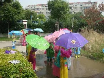 有关雨滴滋味的作文精选范例（《风雨后的滋味》）