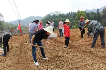 《团结友爱，互帮互助》（关于互相帮助的作文精选）