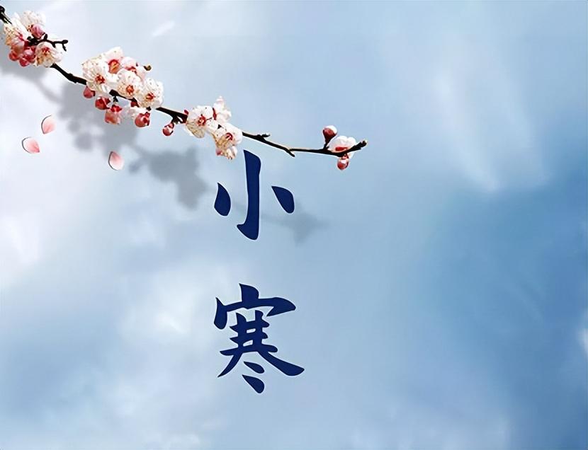 小寒节气节日祝福语（小寒逢三九，新年有暖衣）