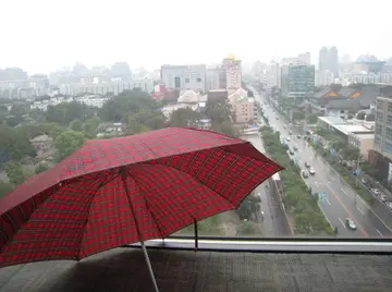 窗外雨声的话题优秀作文（《细听窗外雨霏霏》）