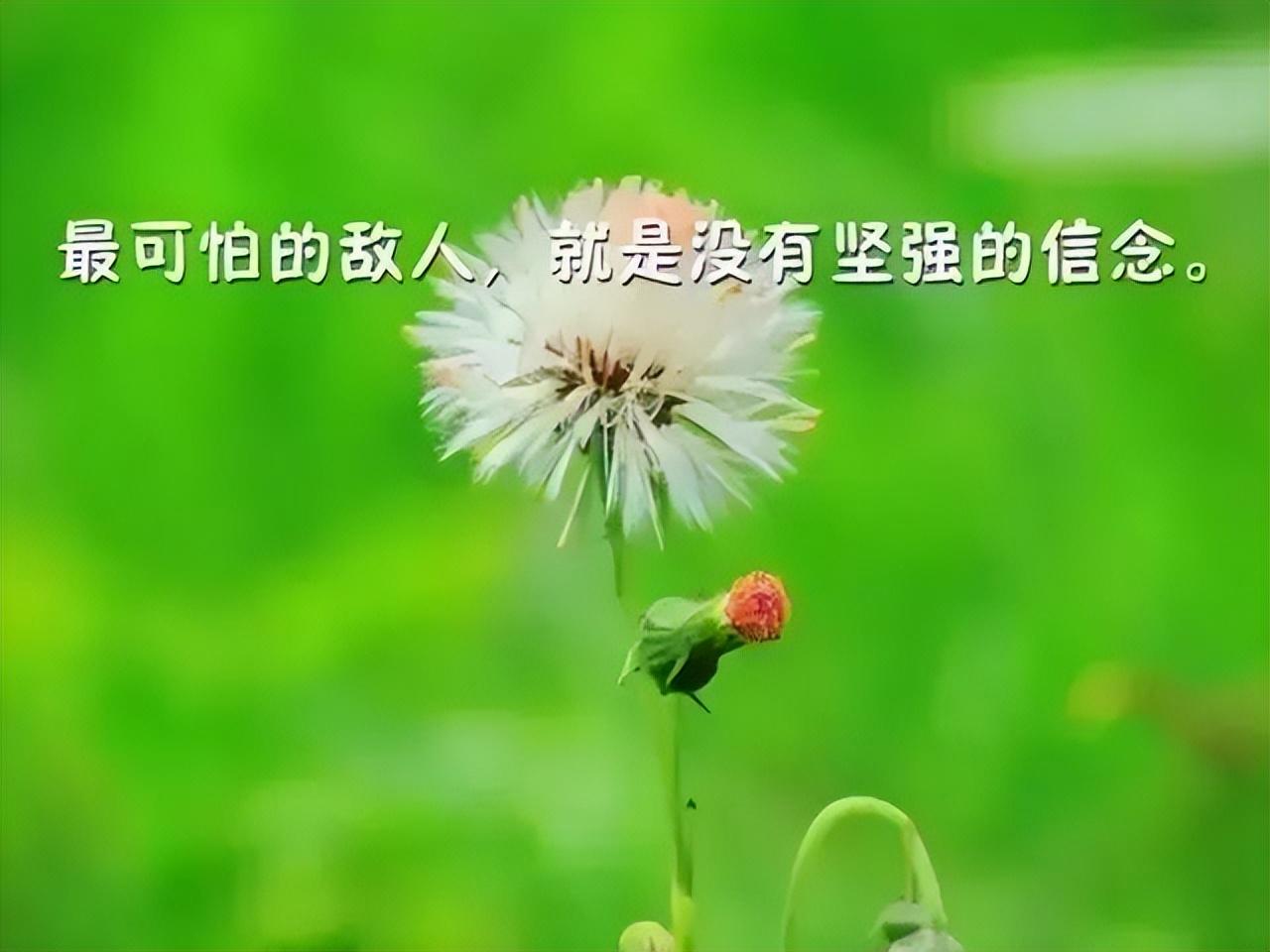 让人惊艳的励志文案（非常经典的励志语录）