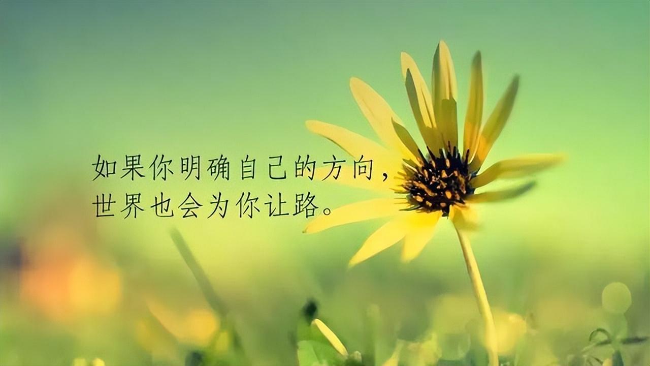 让人惊艳的励志文案（非常经典的励志语录）