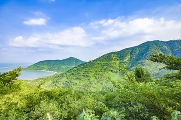 《未来的人生道路》（关于人生路上的作文精选）