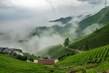 有关多雨人生的作文精选范例（《我眼中的风雨人生》）