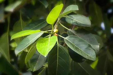 《环境决定人生》（关于造就人生的作文精选）