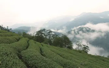 《我的人生之路》（关于走好人生的作文精选）