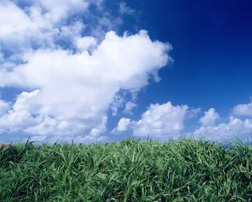 慢走人生的话题优秀作文（《漫漫人生，永恒的爱》）