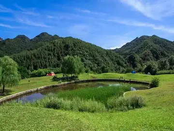 有关漫长人生的作文精选范例（《人生漫漫坎坷路》）