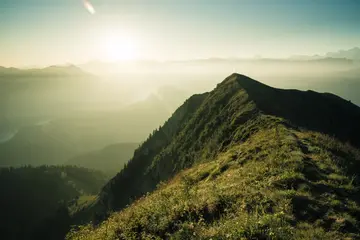 《以诗词为人生指航灯》（关于诗意人生的作文精选）