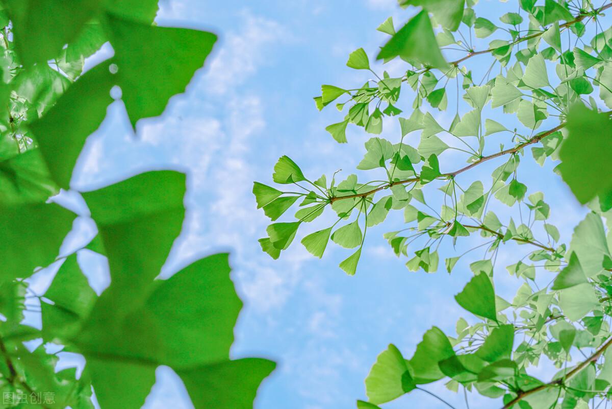 适合发圈的温柔句子（值得收藏的温柔短句）