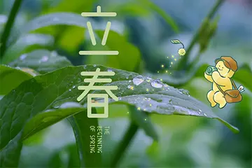 关于立春的文案（特别经典的立春短句）