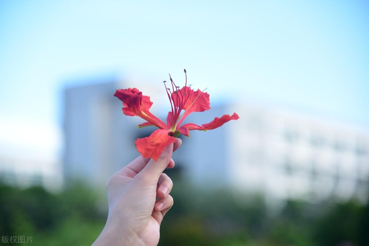 简短走心的文案（非常经典的走心句子）