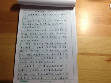 我敬佩的一个人作文600字（对祖国的敬意）