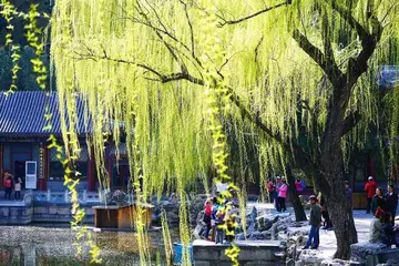 美好心灵的话题优秀作文（《触动心灵的风景》）