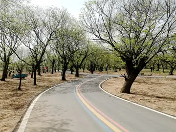 有关固守心灵的作文精选范例（《聆听心灵风景的声音》）