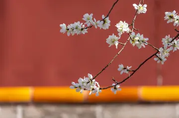 《牵动我心灵的事》（关于守护心灵的作文精选）