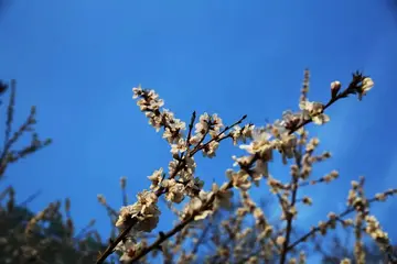 有关走进心灵的作文精选范例（《心灵深处的快乐》）