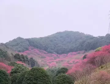 有关走进心灵的作文精选范例（《心灵深处的快乐》）