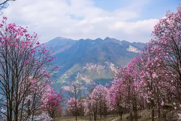 《心灵深处的芬芳》（关于坚守心灵的作文精选）