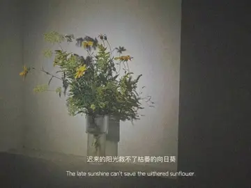 简洁走心的干净短句（充满阳光的干净文案）