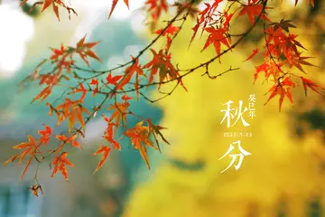 关于秋分节气的唯美句子（适合秋分节气的短句）