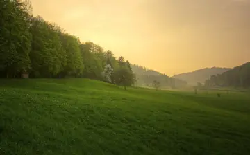 神秘自然的话题优秀作文（《神奇的大自然》）