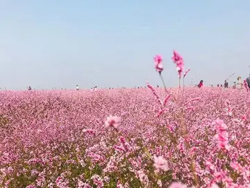 自然报复的话题优秀作文（《大自然的惩罚》）