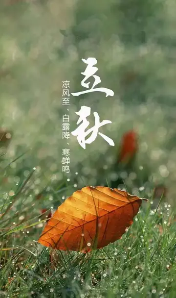 属于立秋的文案(关于立秋的经典短句）