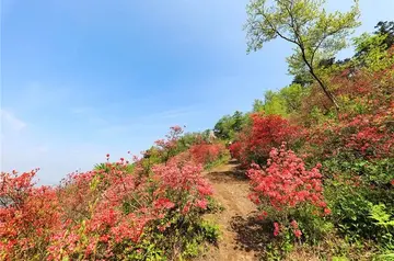 《拥入大自然的怀抱》（关于欣赏自然的作文精选）