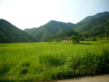 有关家乡季节的作文精选范例（《我爱故乡的春天》）