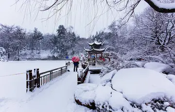 家乡雪景的话题优秀作文（《漫天飞舞的故乡》）