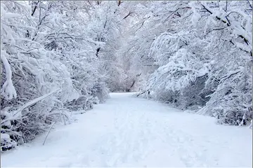 《我爱冬日下的故乡》（关于故乡冬季的作文精选）