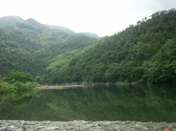 有关家乡味道的作文精选范例（《告别我可爱的故乡》）