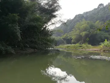 《故乡秋天，让我陶醉》（关于家乡季节的作文精选）