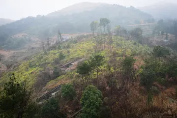 有关怀念家乡的作文精选范例（《我思念着故乡》）