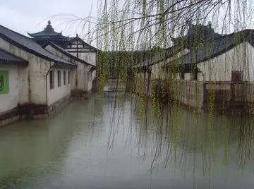 有关家乡飘雨的作文精选范例（《思念故乡的那场雨》）