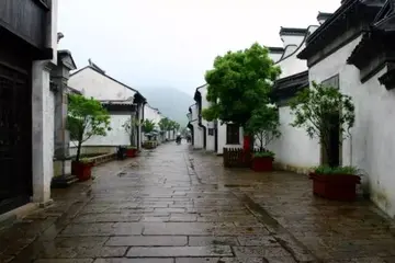 《回忆故乡的雨景》（关于故乡细雨的作文精选）