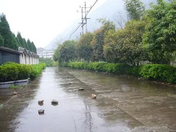 《回忆故乡的雨景》（关于故乡细雨的作文精选）