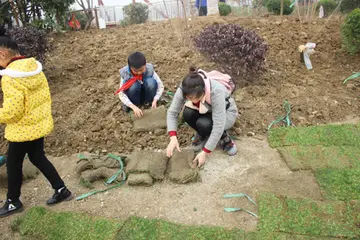 节能降耗的话题优秀作文（《绿水青山，节能增效》）