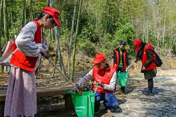 有关节能生活的作文精选范例（《绿水青山，节能增效》）