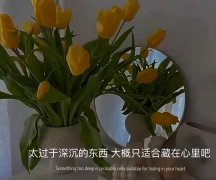 非常高级的情绪文案（表达情绪的句子）